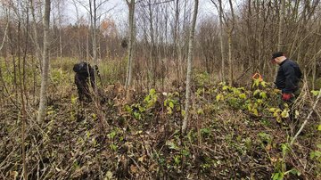 Zwei Männer mit Spaten in sumpfigem Wald