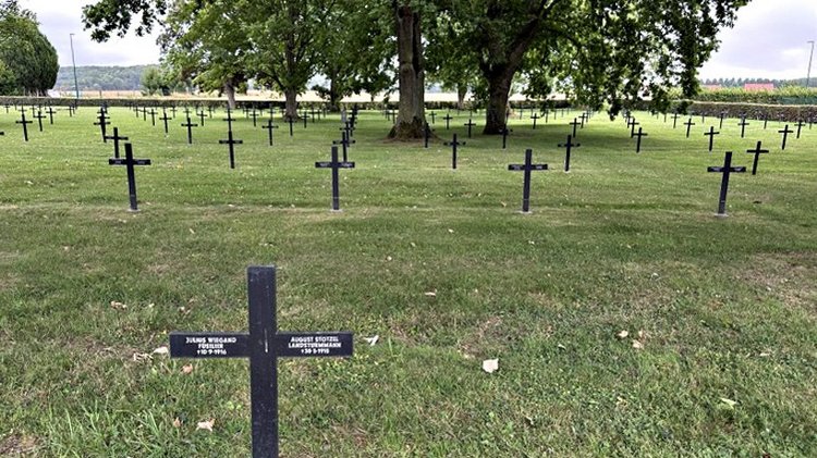 Friedhof mit Kreuzen und Baum